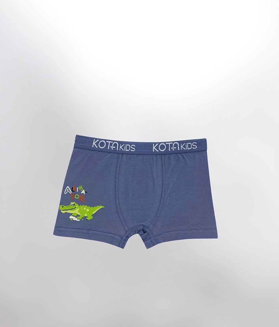 Erkek Çocuk Parça Baskılı Penye Boxer