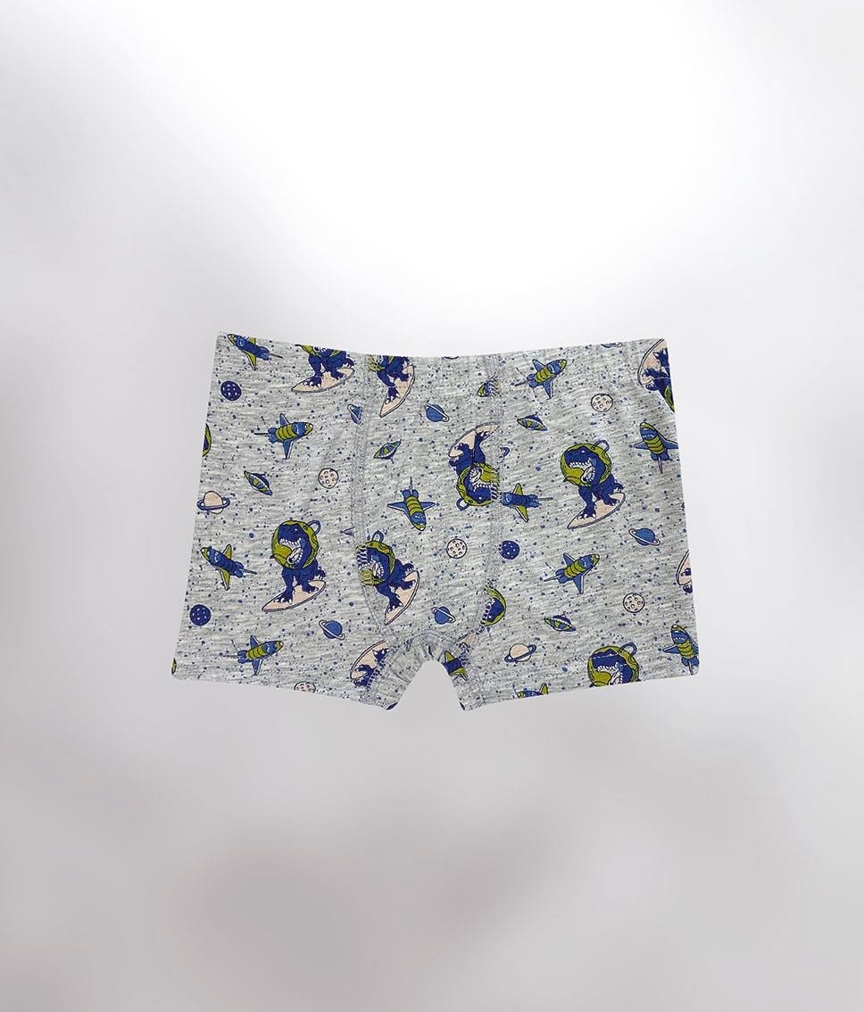 Erkek Çocuk Baskı Asortili Penye Boxer